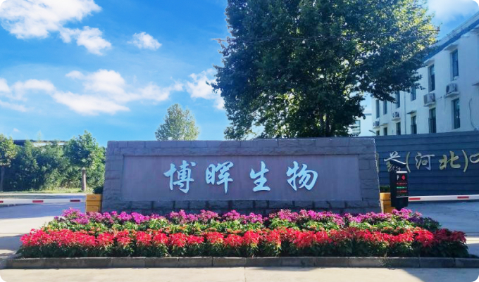 z6com������¼���������ҩ���ӱ������޹�˾